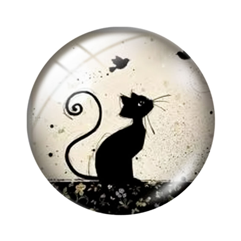 Malen nach Zahlen: Katze – 12/ – Photography Course Bewertung und Preis
