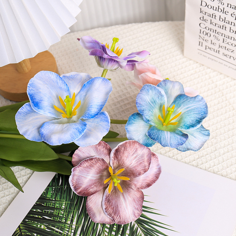 5pc 54cm Flip Tulpe Farbverlau – Photography Wedding Bewertung und Preis