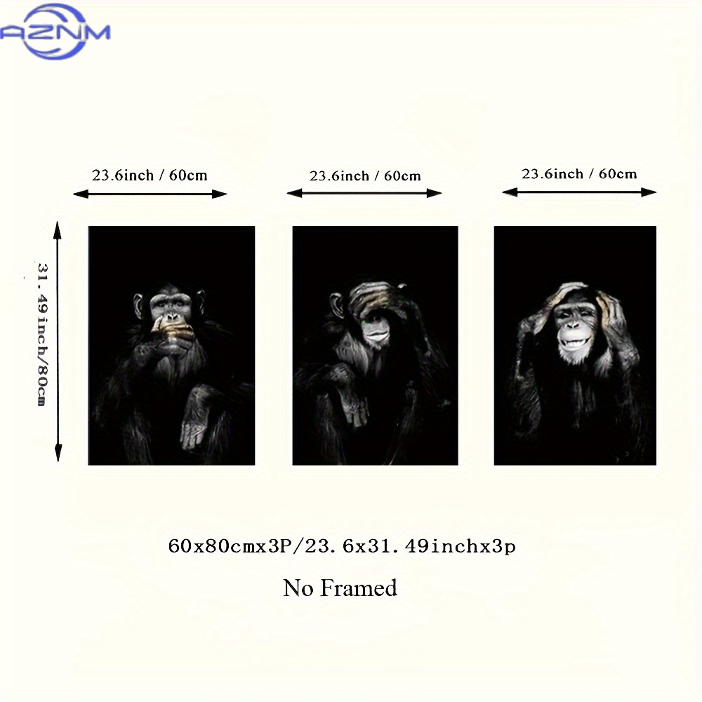 3-teiliges Set Großformatige U – Photography Course Bewertung und Preis